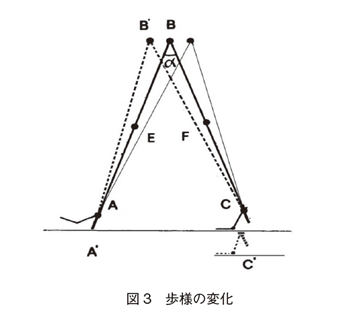 図3 歩様の変化